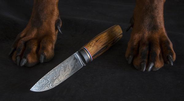 Un couteau de style Puukko pour une jeune chasseuse