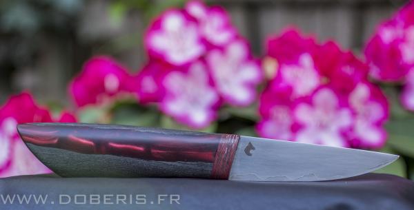 t1-img-5122-1